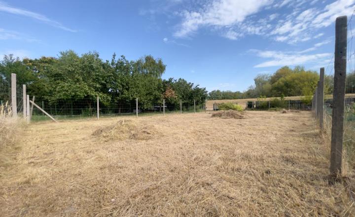 Pokojné miesto len 250 m od Dunaja, Záhrada 400 m², Nová Stráž - fotografia 2
