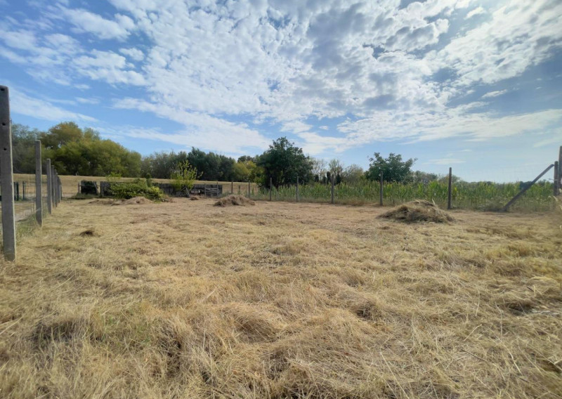 Pokojné miesto len 250 m od Dunaja, Záhrada 400 m², Nová Stráž
